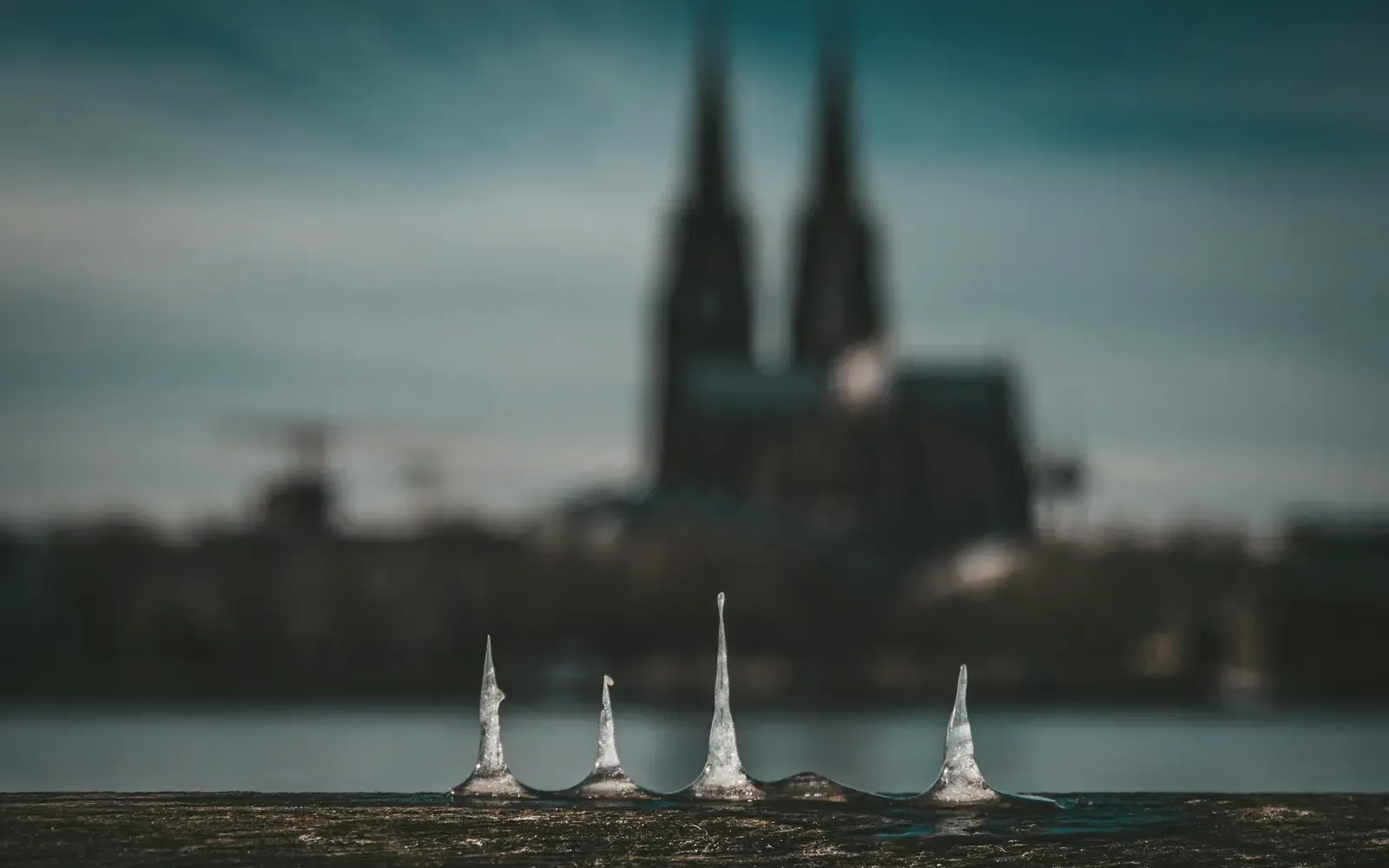 Der Kölner Dom am Rheinufer