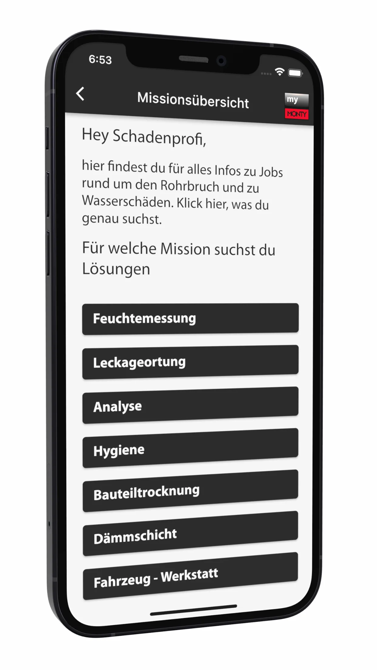MyMonty — Missionsübersicht mit Themen zur Wasserschadensanierung auf dem iPhone